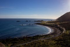 Cape Palliser